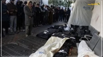 خلال 24 ساعة فقط.. غزة تسجل 69 شهيدًا و422 مصابًا حصيلة الضحايا تتجاوز 64 ألفًا 1